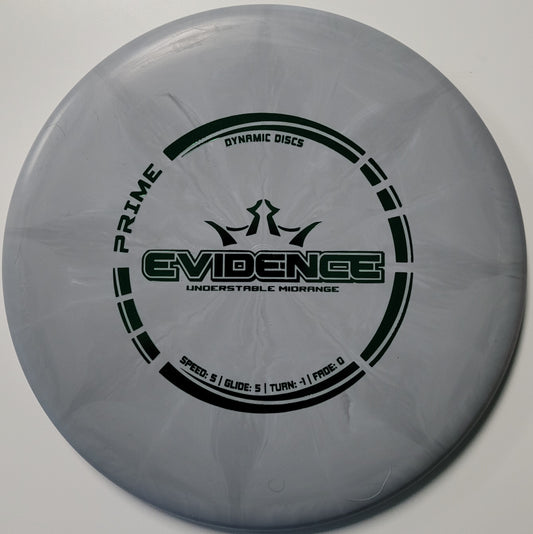 Dynamic Discs Evidence